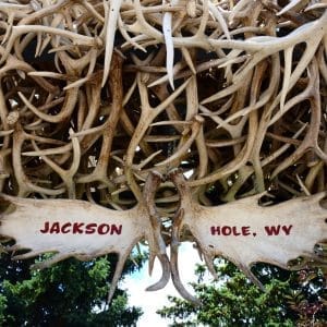 Jackson Hole Restaurant