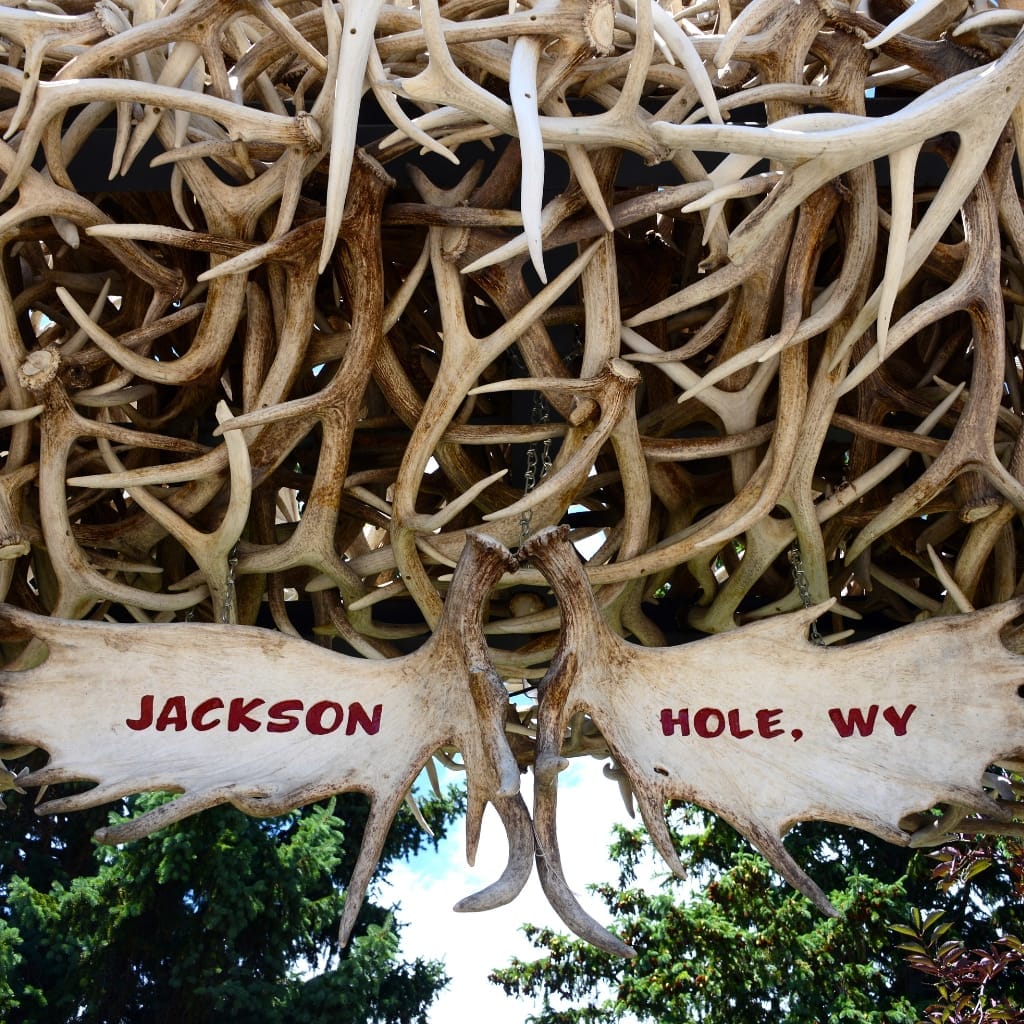 Jackson Hole Restaurant