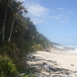 Scenic view of Karamea, a picturesque town surrounded by lush greenery in New Zealand