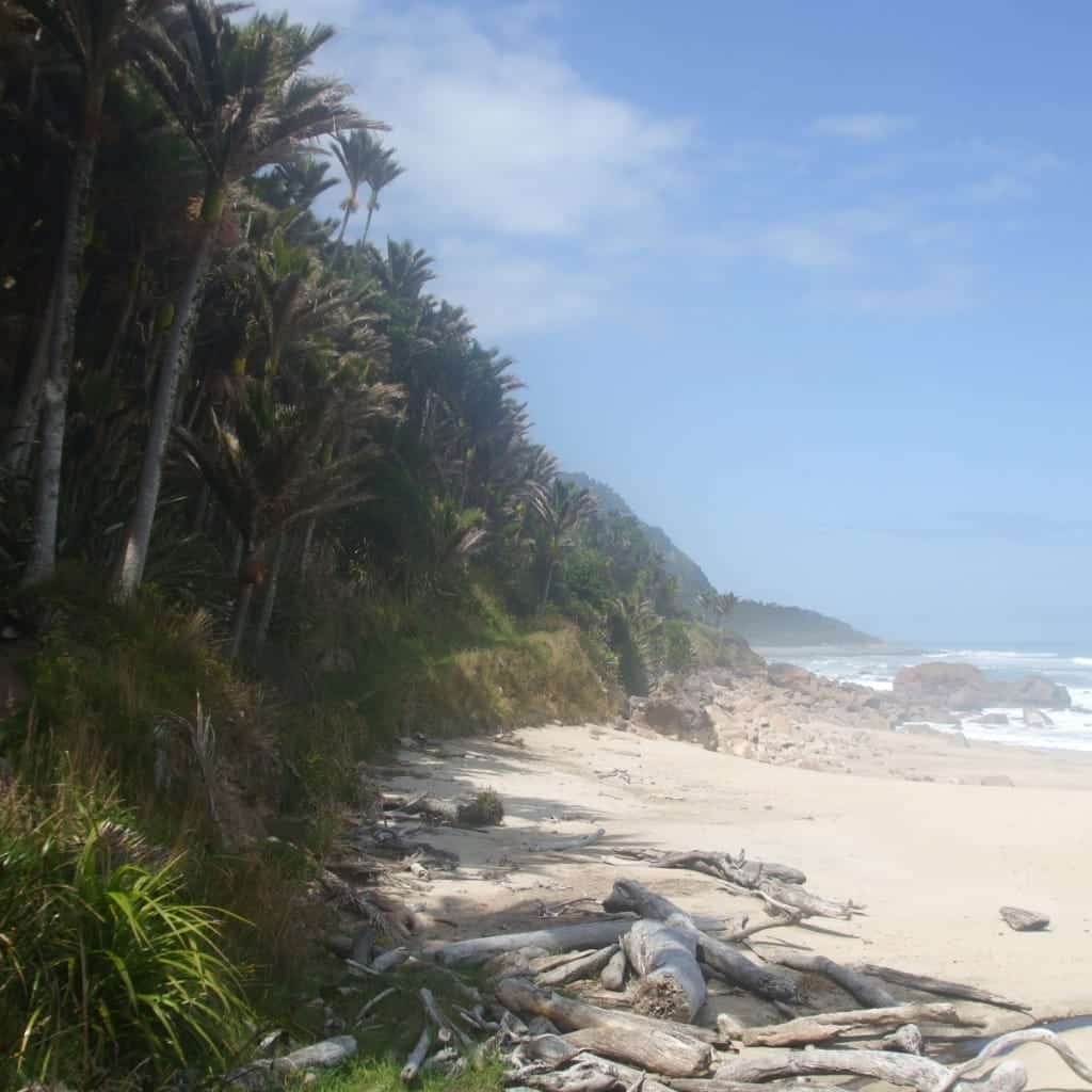Scenic view of Karamea, a picturesque town surrounded by lush greenery in New Zealand