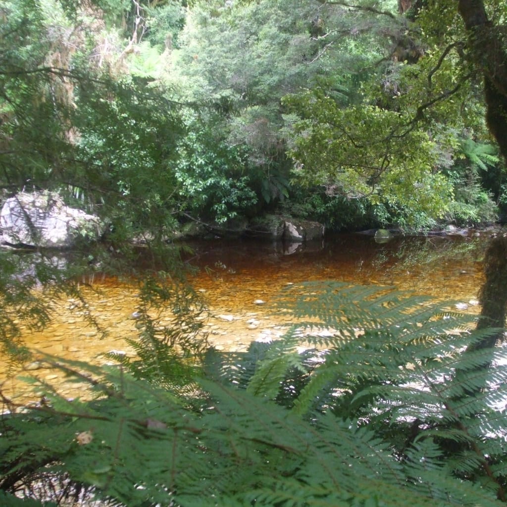 Kayaking on the Karamea River