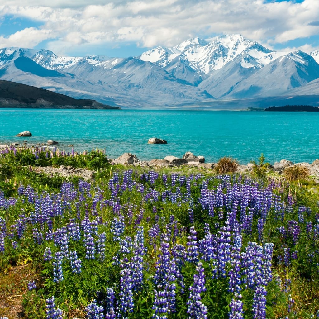 Lake Tekapo