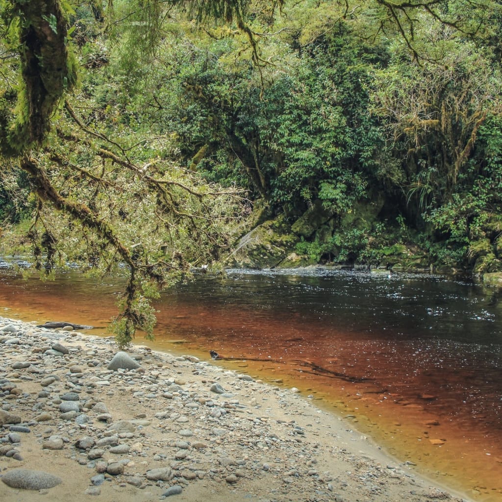 Oparara Basin