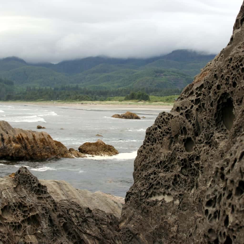washington olympics peninsula