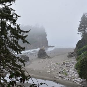 Scenic landscape view of Washington's Kitsap Peninsula showing lush forests and beautiful coastline, a prime tourist destination in Northwestern United States.