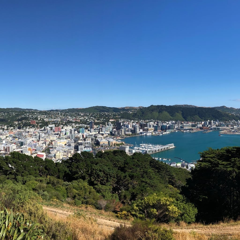 wellington Mount Victoria