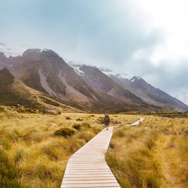 A group of hikers enjoying a short walk on one of the 7 best trails in New Zealand, surrounded by lush greenery and breathtaking landscapes