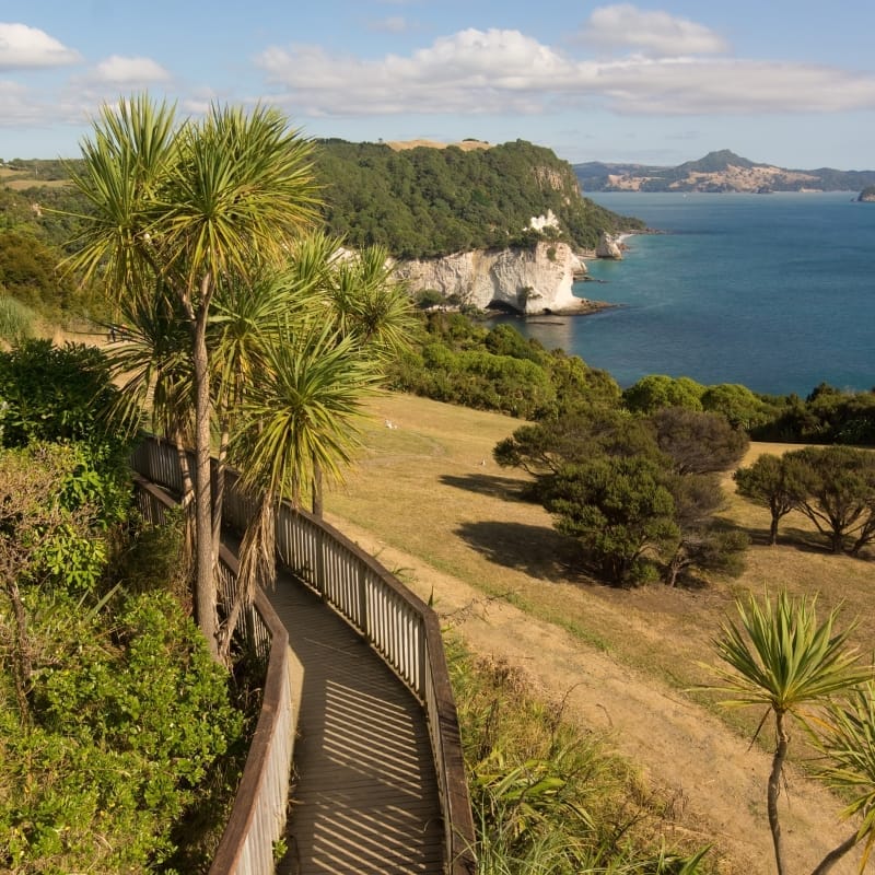 Cathedral Cove Walk.