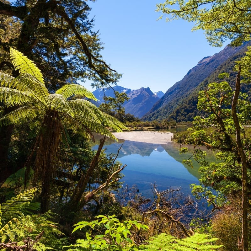 Fiordland's Milford Track