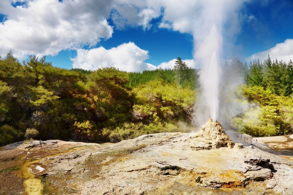 Lady Knox Geyser