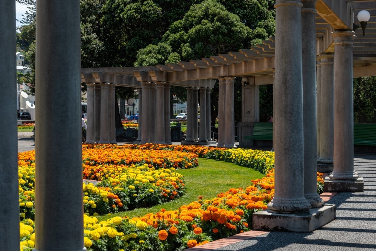 what to do and what to see in napier, new zealand