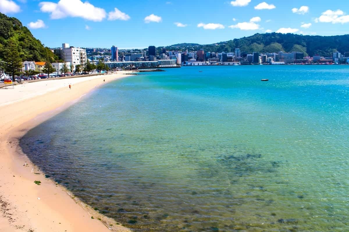 Oriental Bay Beach