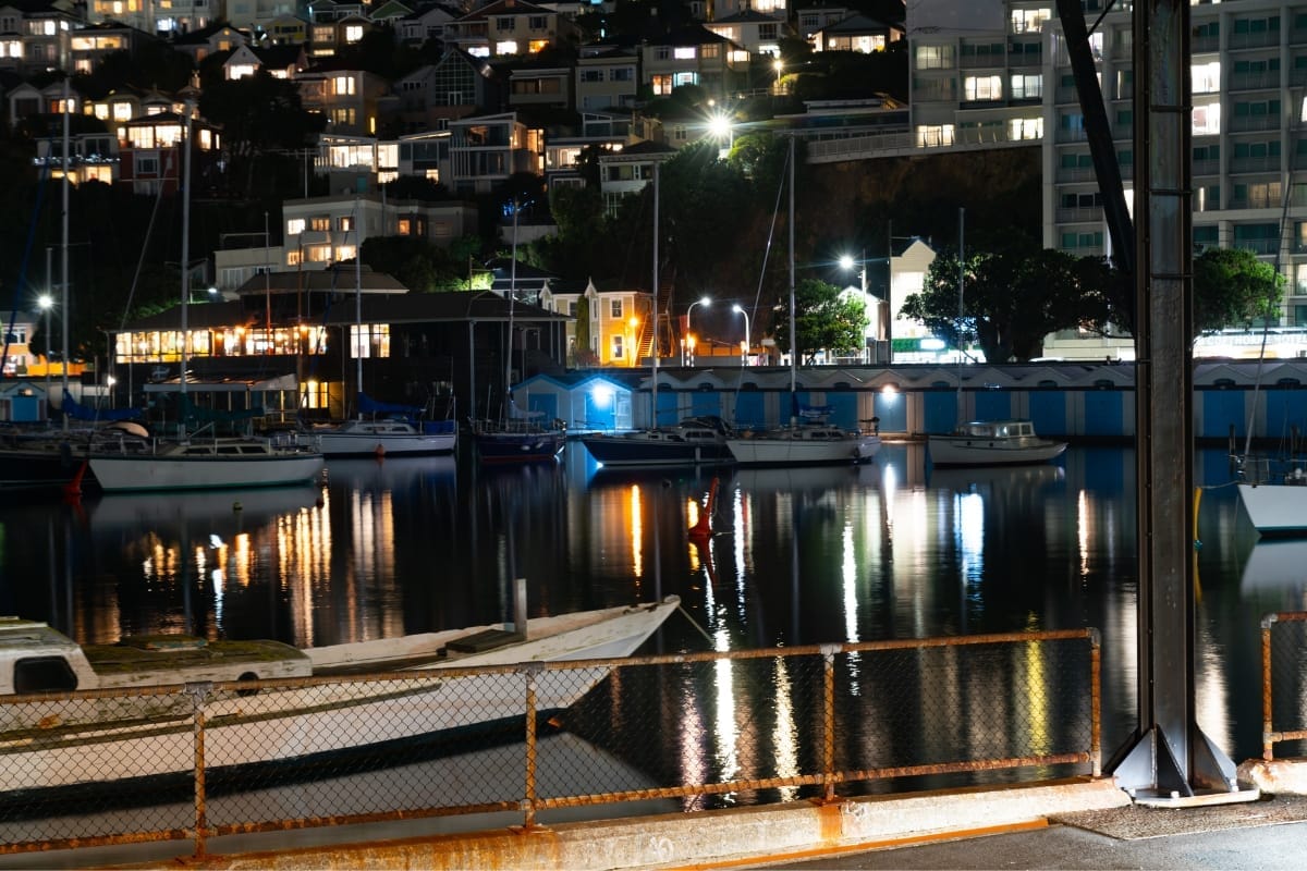 Oriental Bay night wellington