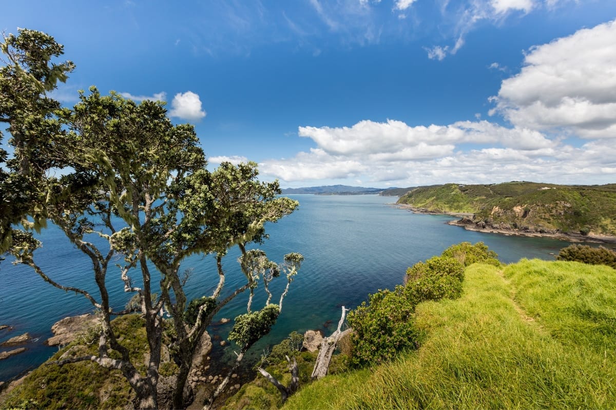 Scenic view of Paihia, the stunning Bay of Islands in New Zealand showcasing beautiful blue water and lush greenery