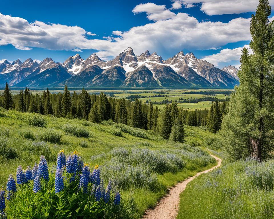 Trail Rides Through the Scenic Terrain in teton village