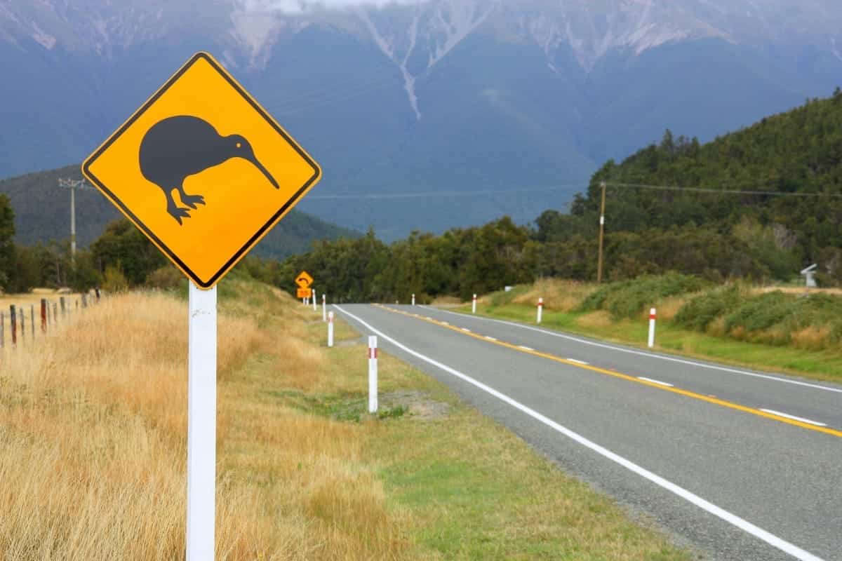 Travel New Zealand on a Budget