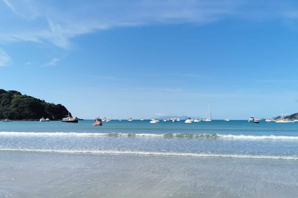 Waiheke Island new zealand