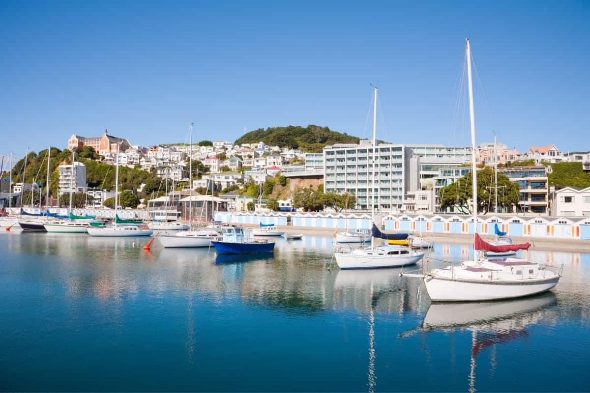 Wellington Oriental Bay Marina New Zealand