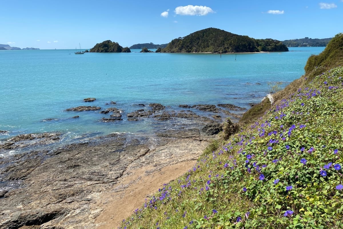 the-Bay-of-Islands-in-New-zealand