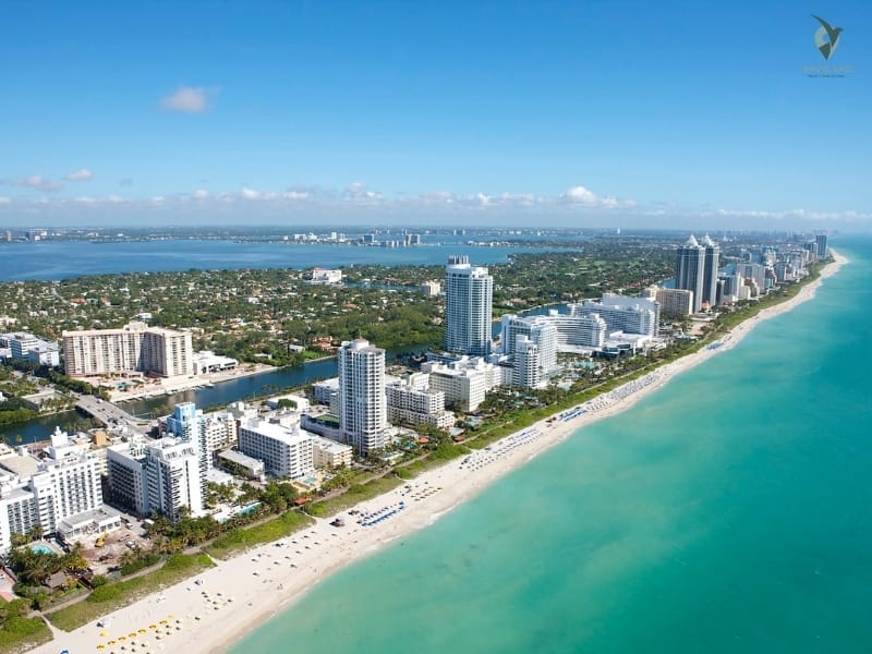Discover the Best Things to Do in Miami, Florida
