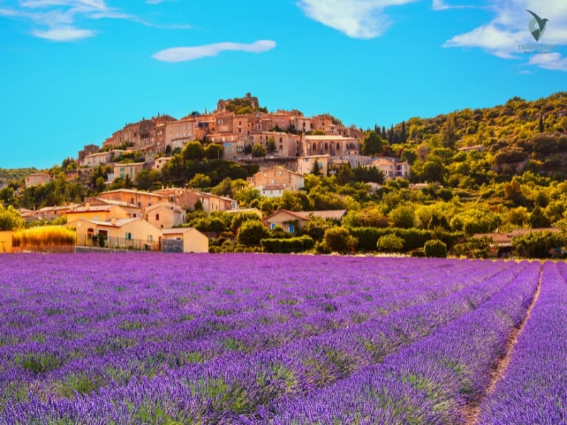Discovering France's Quaint Villages