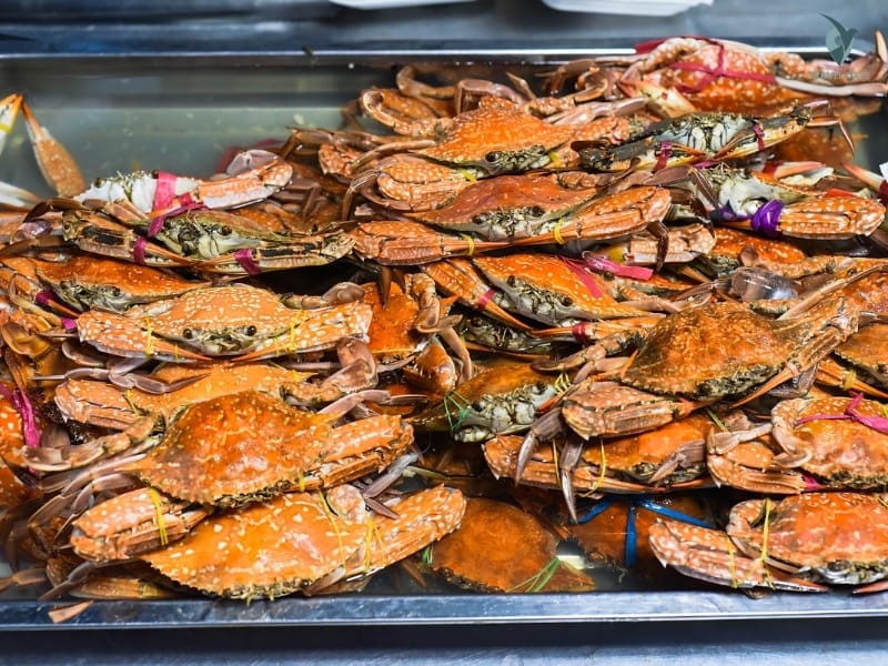 florida Seafood Festival
