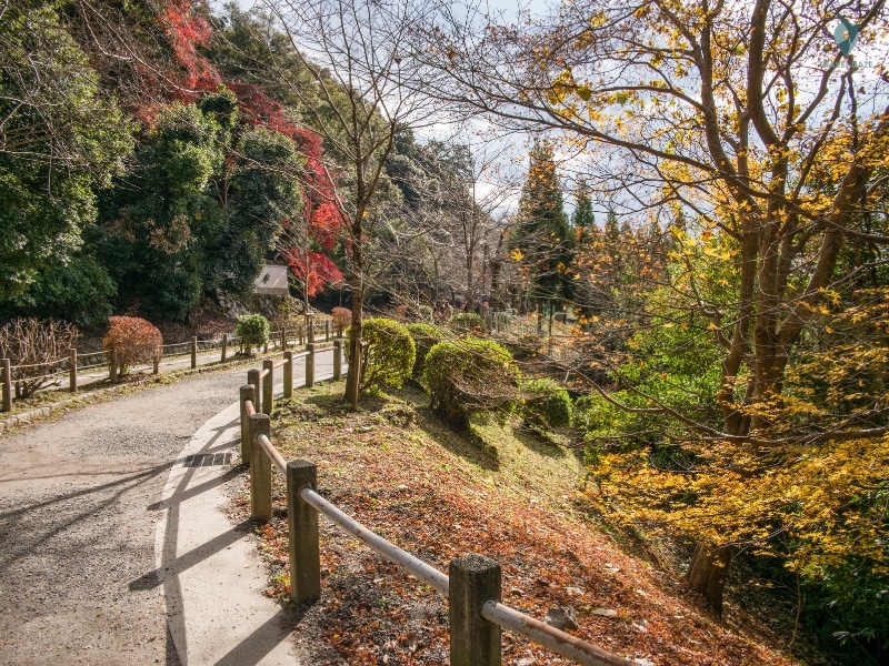 Philosopher’s Path
