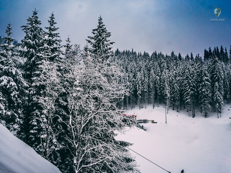 Alpine Weather