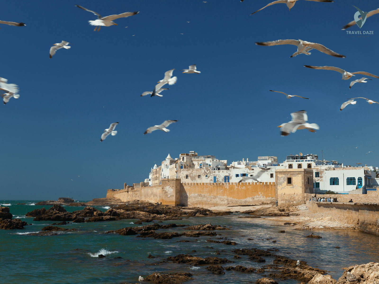 Best Day Trips from Essaouira