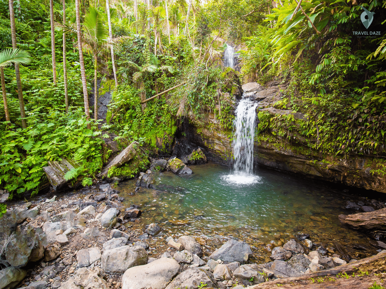 El Yunque National Forest
