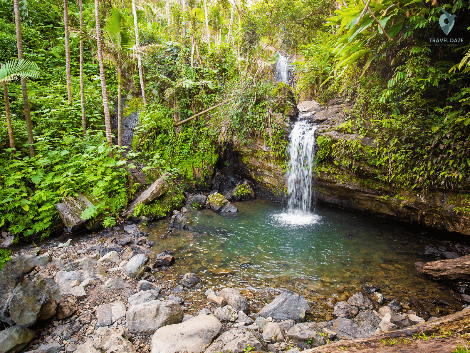 El Yunque Rainforest