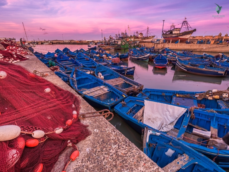 Immerse in Essaouira port life