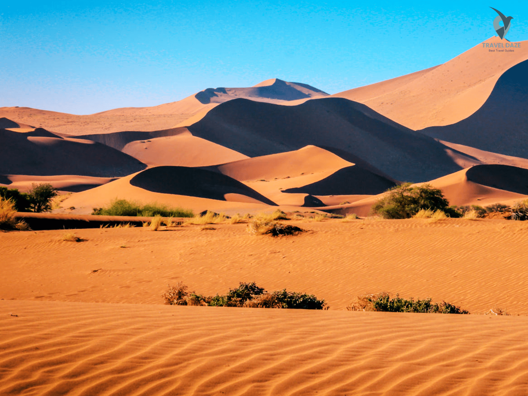 Sand dunes Moroccon Atlantic light