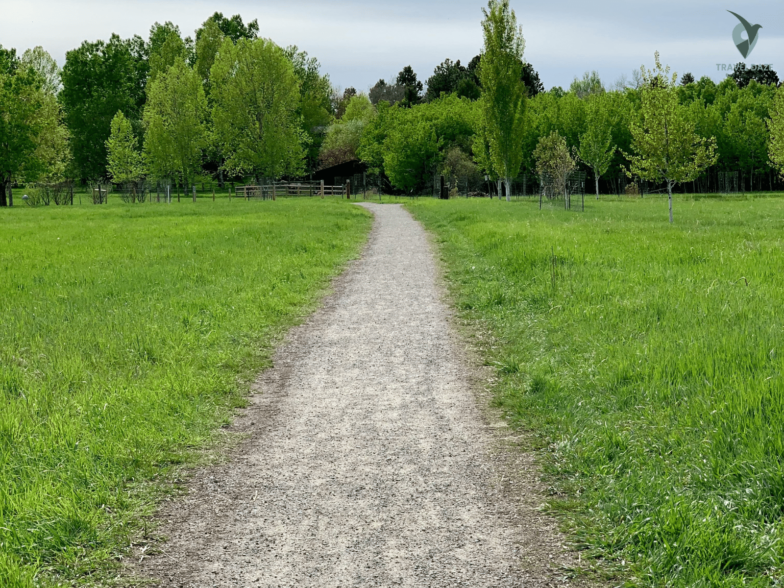 Peaceful Nature Walks in Belgrade