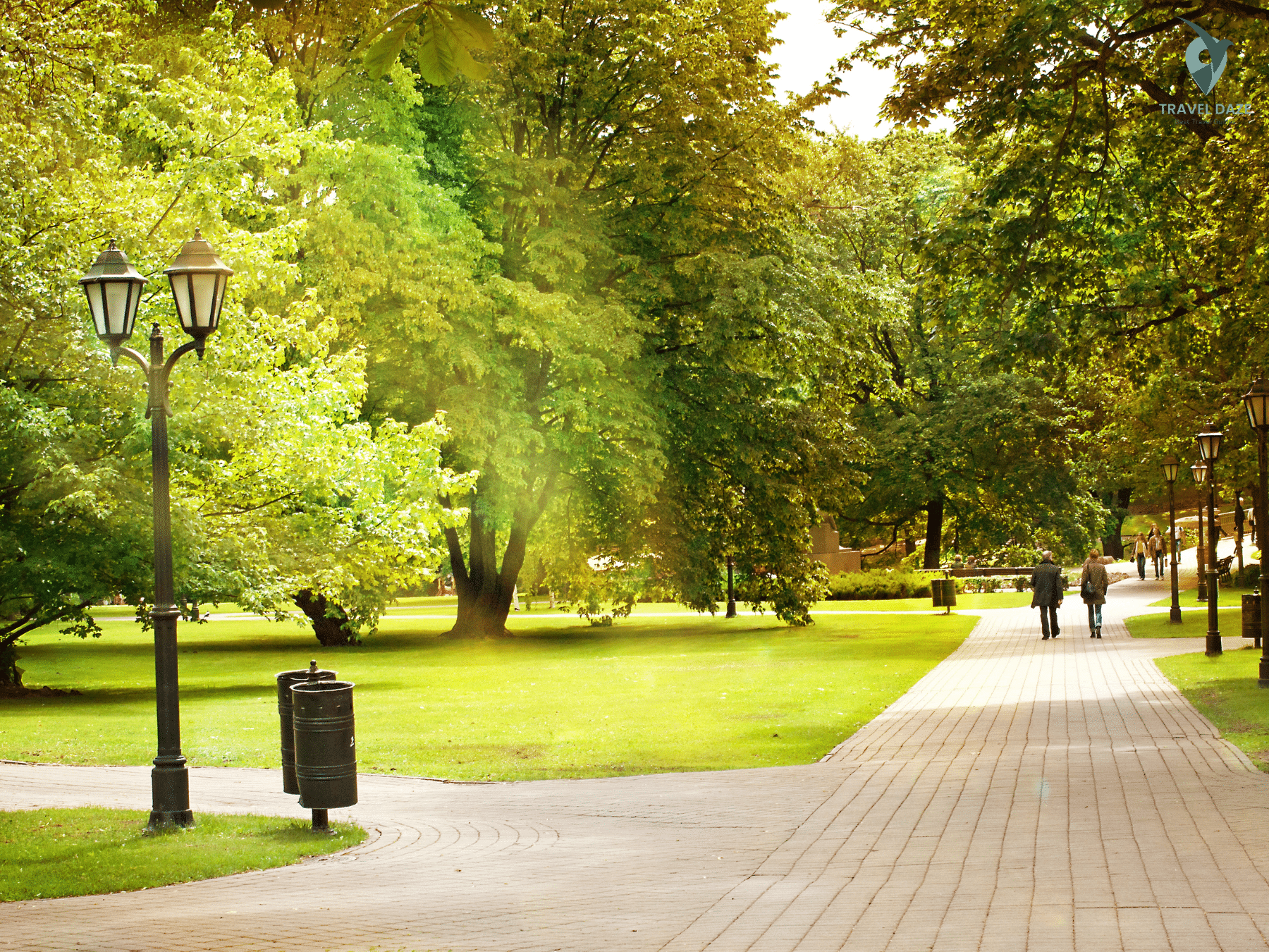 Peaceful Nature Walks in Riga