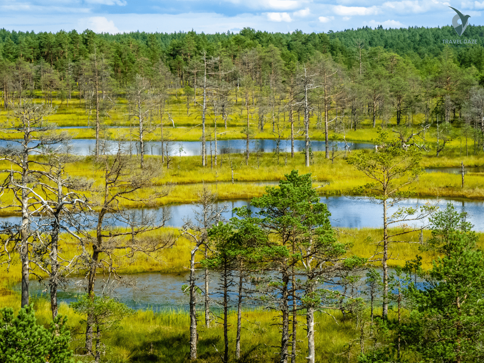 Tallinn's Modern and Natural Landscapes