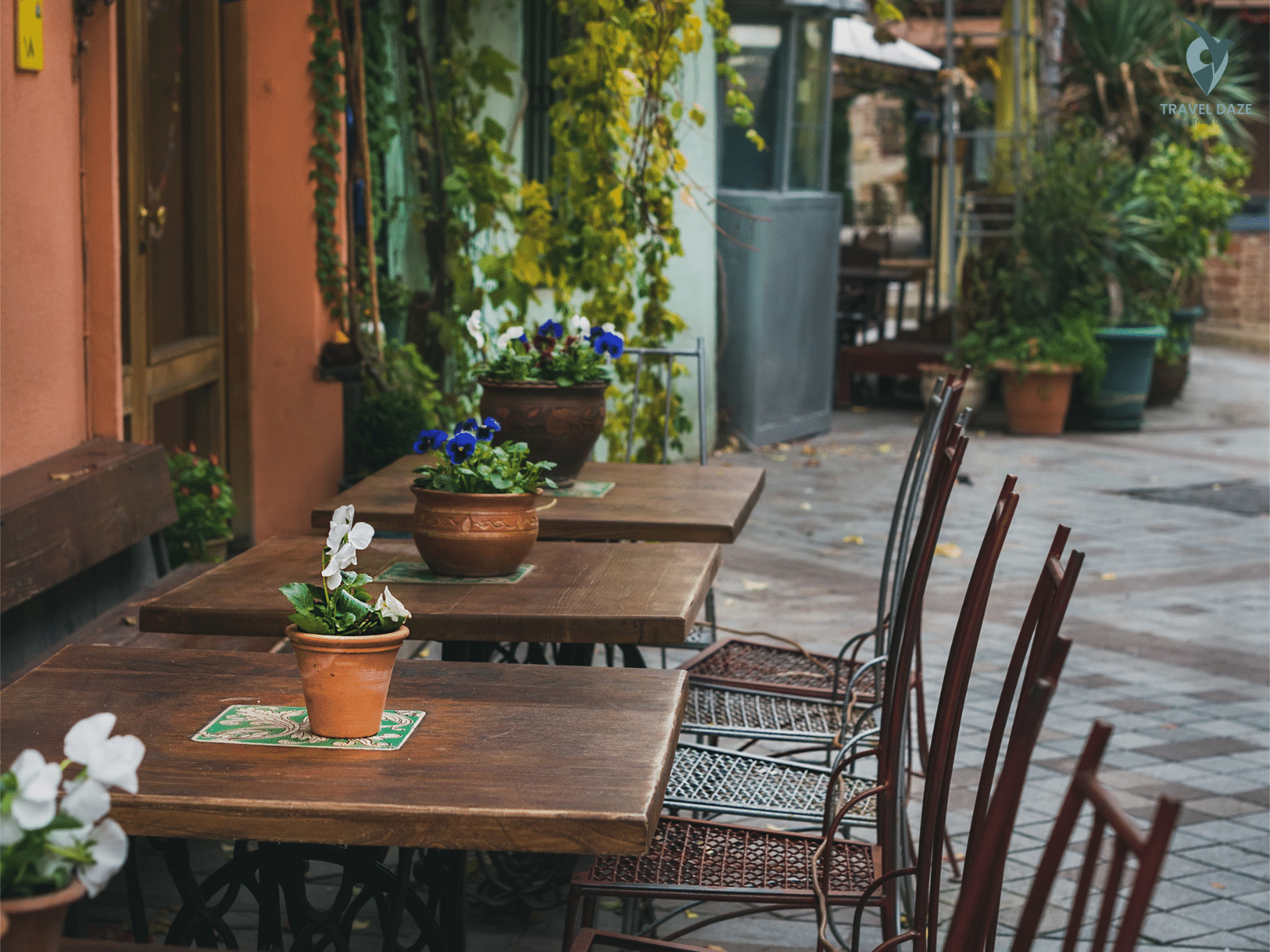 Tbilisi's Cafe Scene