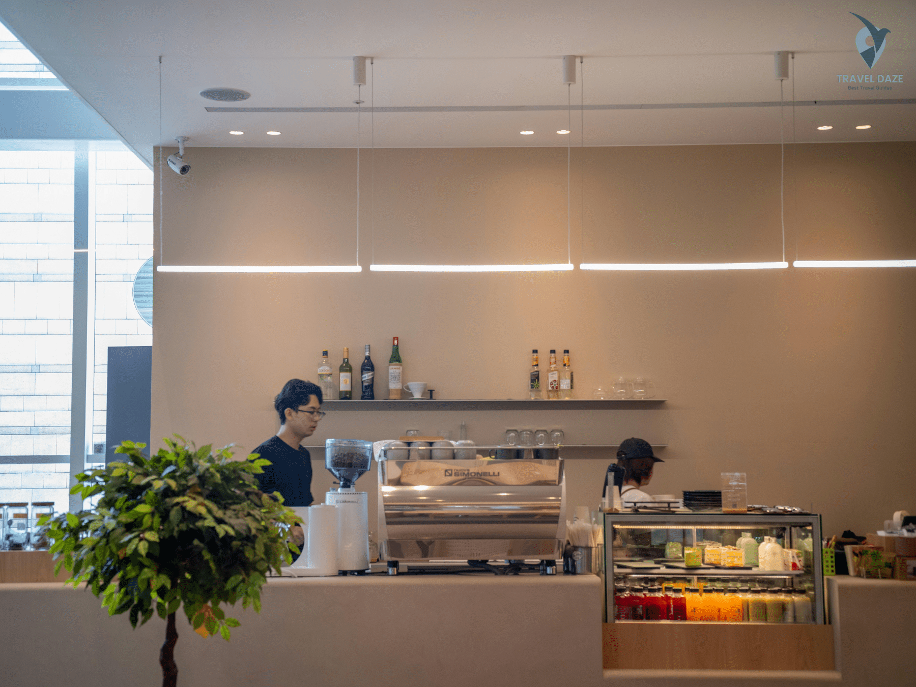 Vegan and Health-Conscious Cafes
