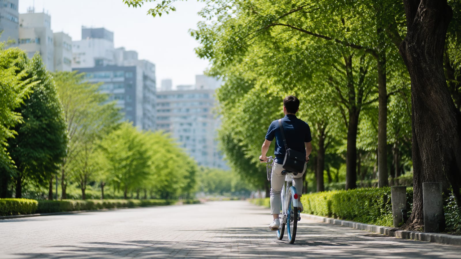 Cyclist riding rental bike on tree-lined city street with light urban surroundings